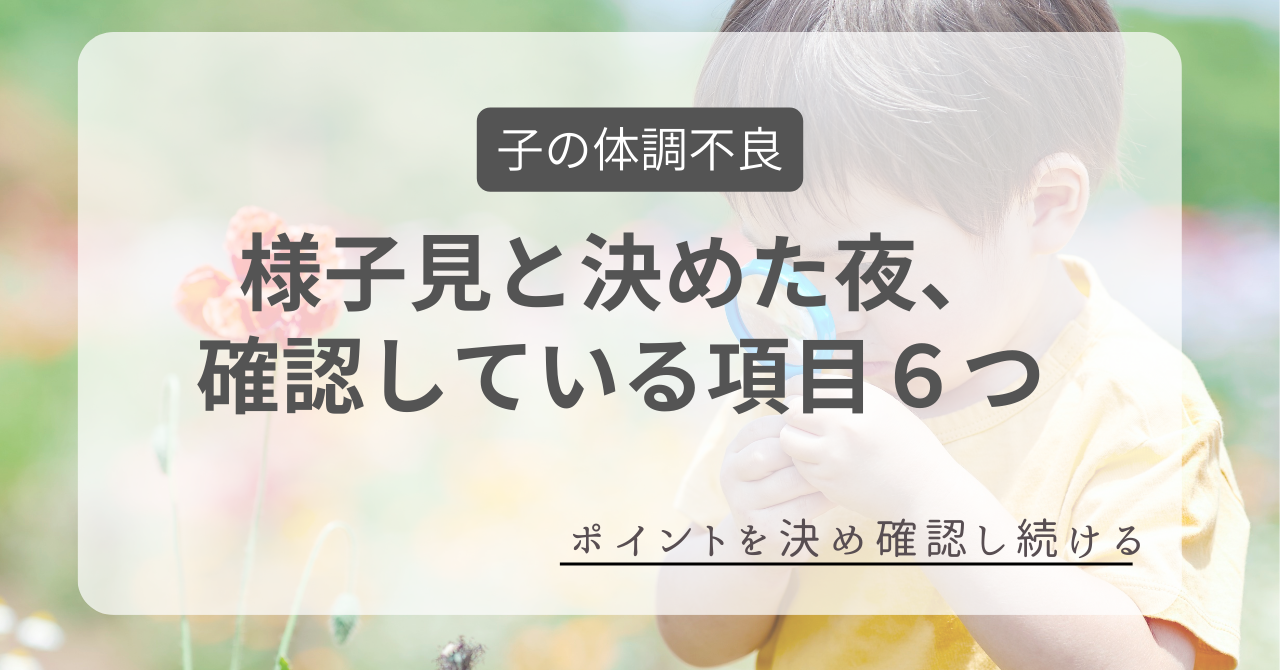 様子見と決めた夜、 確認している項目６つ